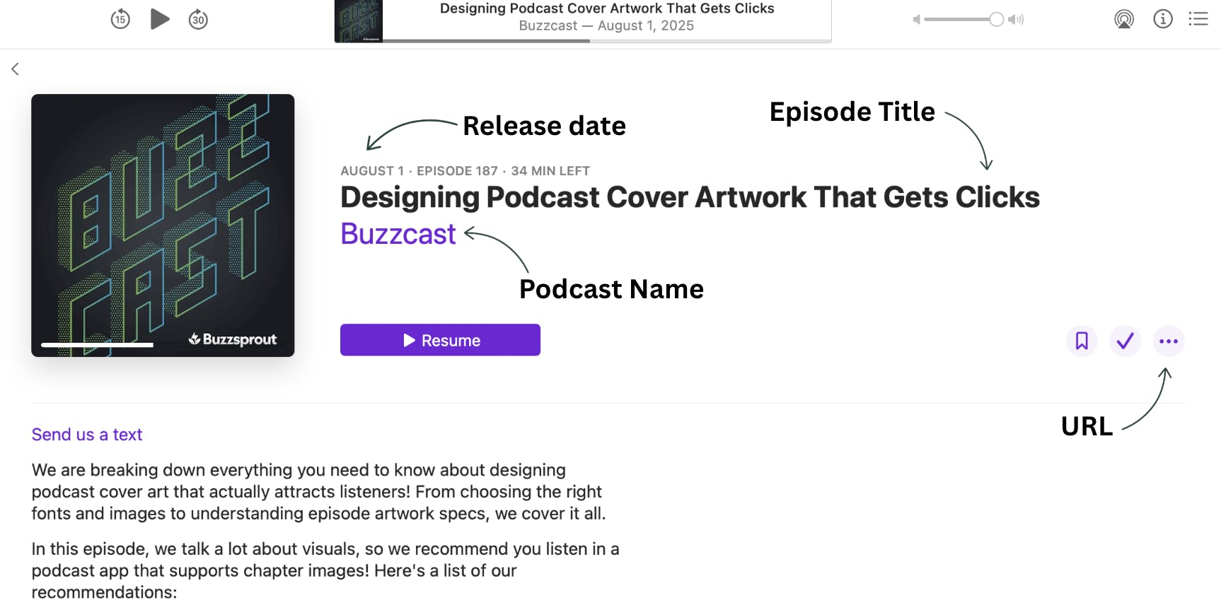 Apple Podcasts page with arrows pointing to relevant information